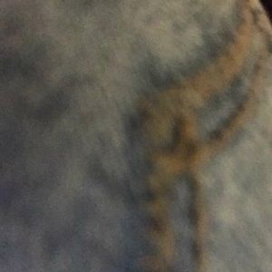 Meet your Posher, Abraham